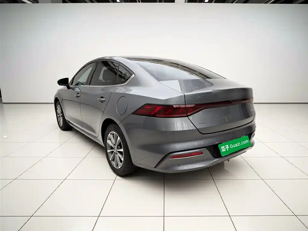 BYD Qin PLUS 2024 Glory Edition DM-i 55KM Leading фото 4