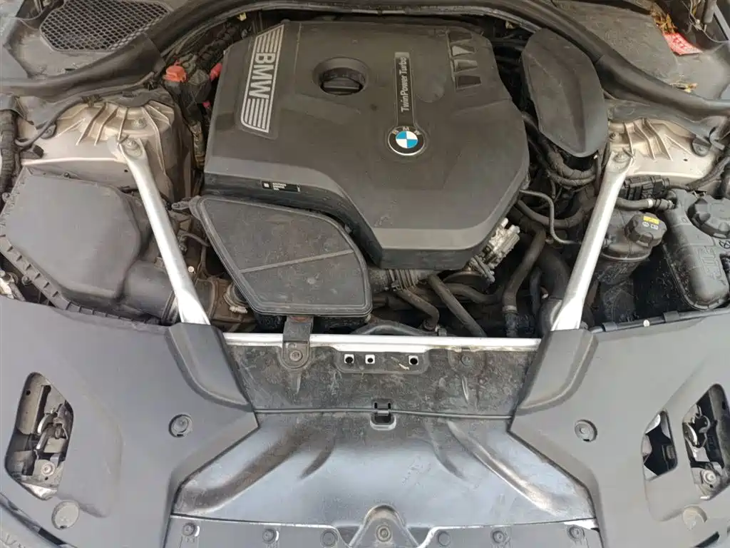 BMW 5 Series 2019 525Li Luxury Package фото 11