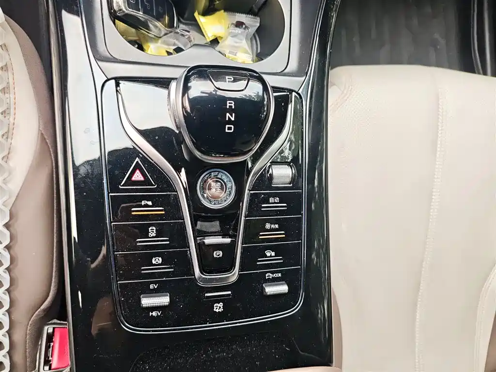 BYD Qin PLUS 2024 Glory Edition DM-i 55KM Leading фото 15