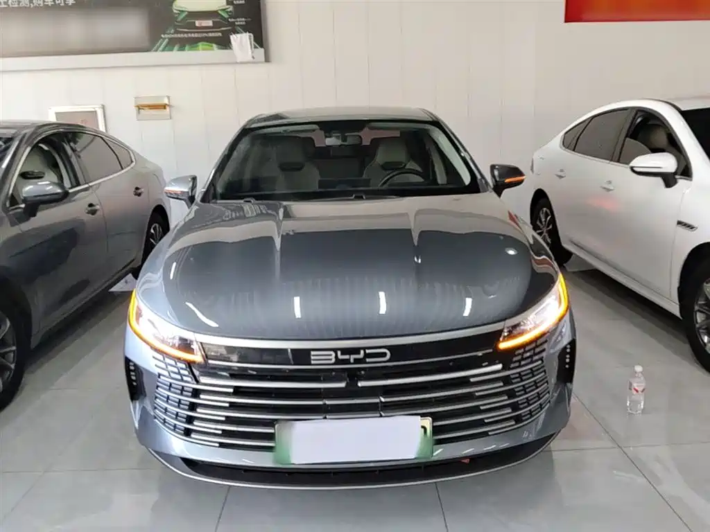 BYD Destroyer 05 2024 DM-i 55KM Pilot Glory Edition фото 3