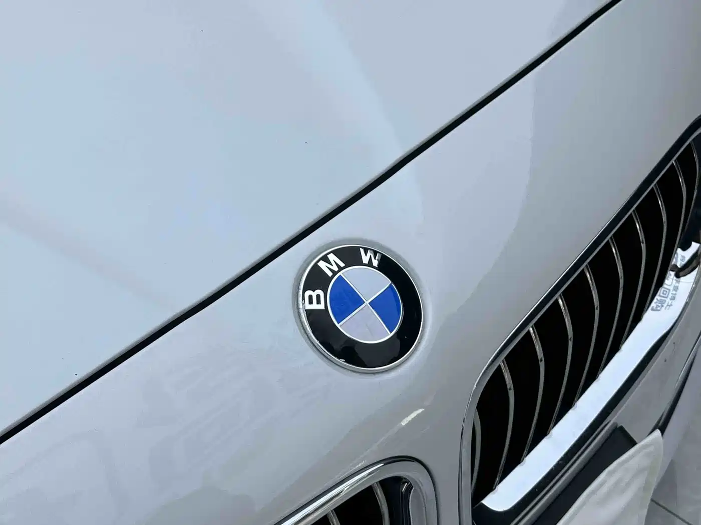BMW 5 Series 2014 525Li Luxury Design Package фото 5
