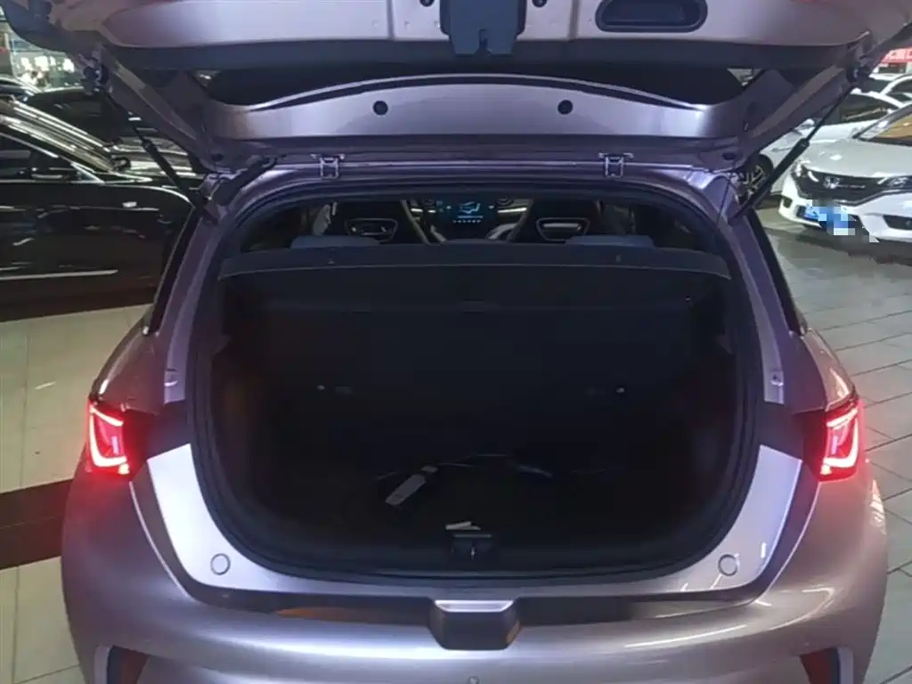 BYD Dolphin 2021 Model 405km Fashion Edition фото 19