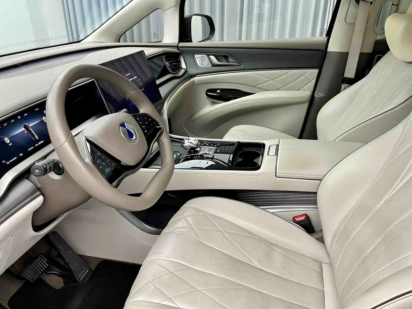 Denza D9 2022 DM-i 970 All-Wheel Drive Honor Edition фото 12