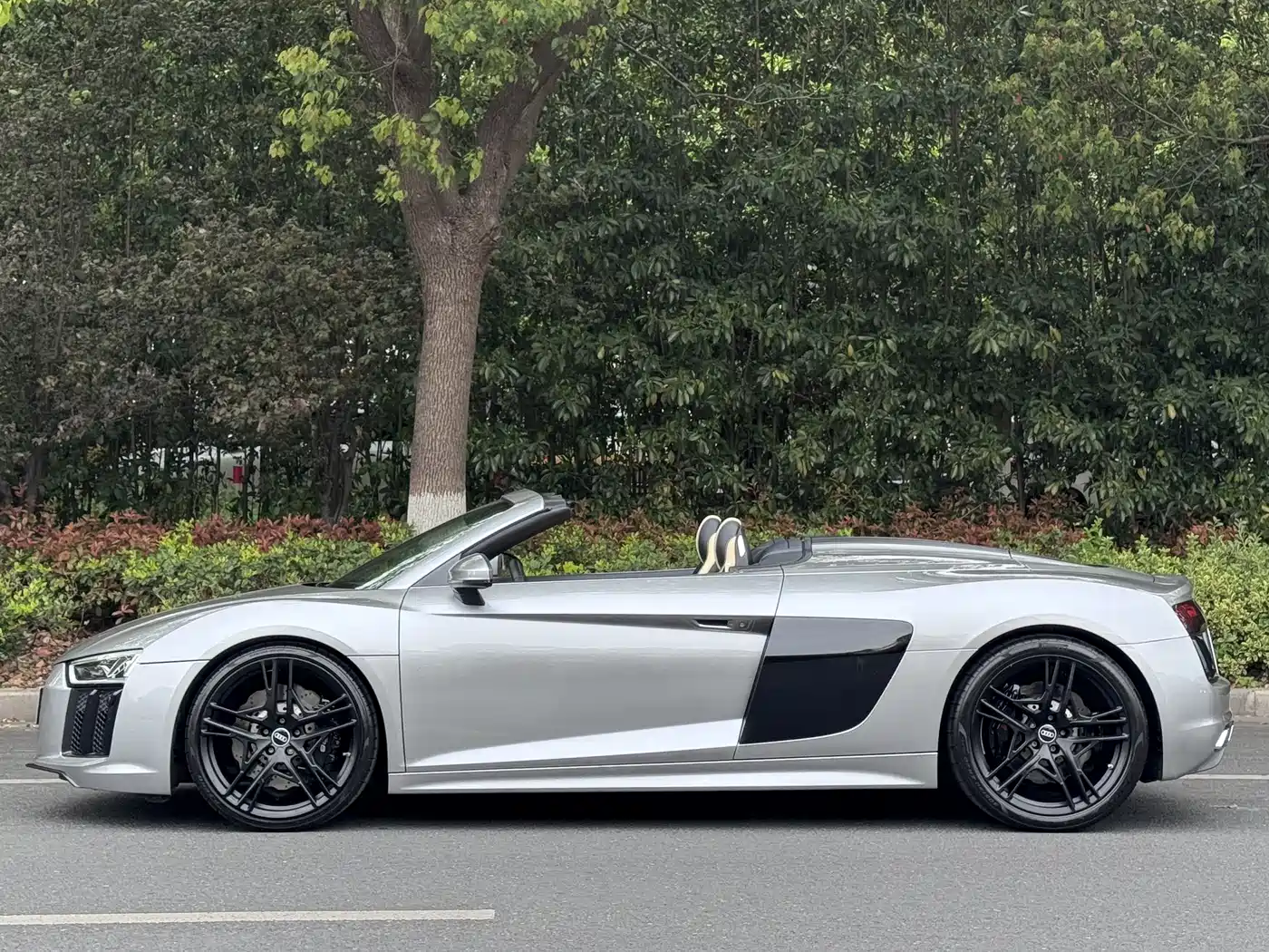 AUDI R8