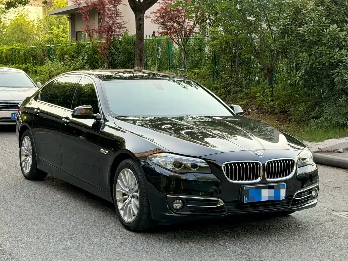 BMW 5 Series 2014 525Li Luxury Design Package фото 3