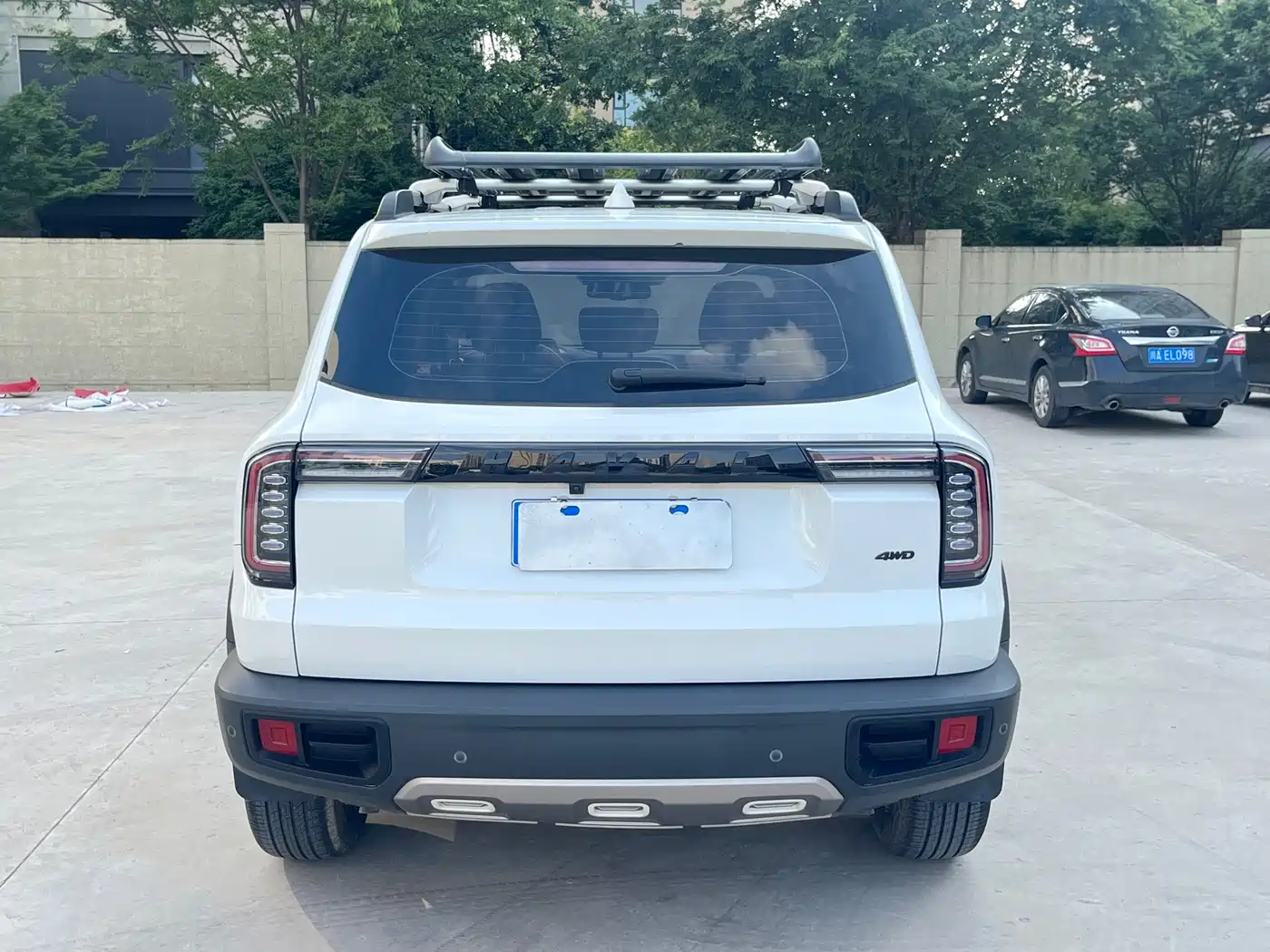 HAVAL BIG DOG