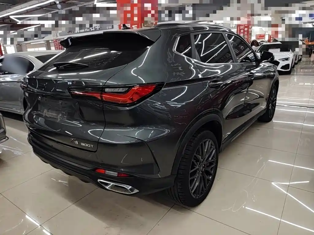 Фото 7 - Changan Oshan Changan Oushang X5