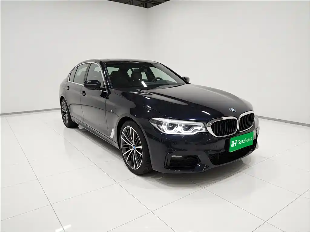 BMW 5 Series 2020 530Li Leading M Sport Package фото 3