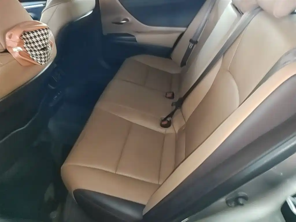Lexus ES 2018 200 Luxury Edition China V фото 17