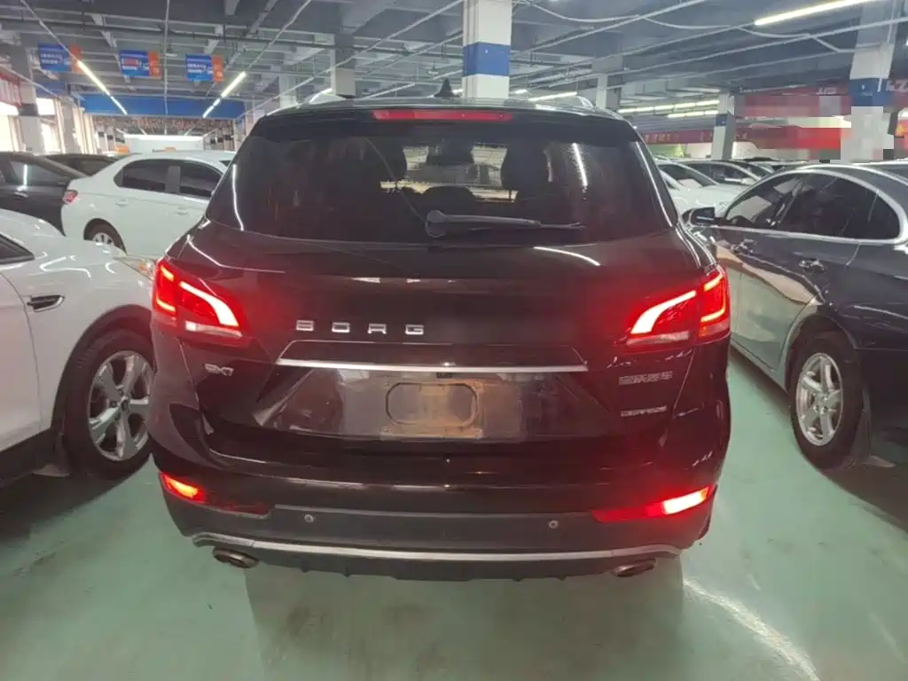 Фото 6 - Borgward BX7