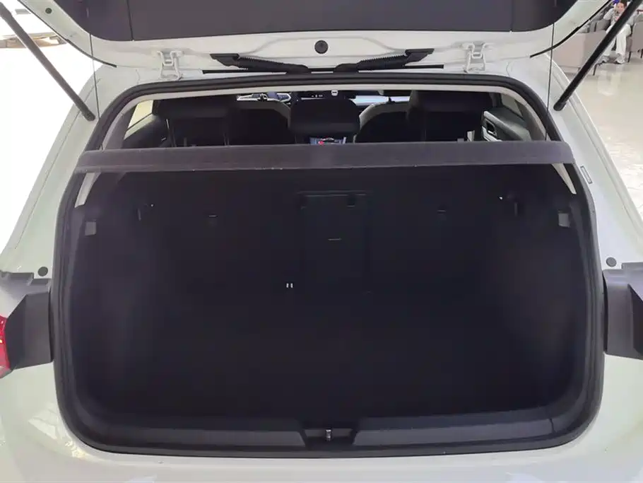 Volkswagen Golf 2021 280TSI DSG 30th Anniversary Edition фото 4