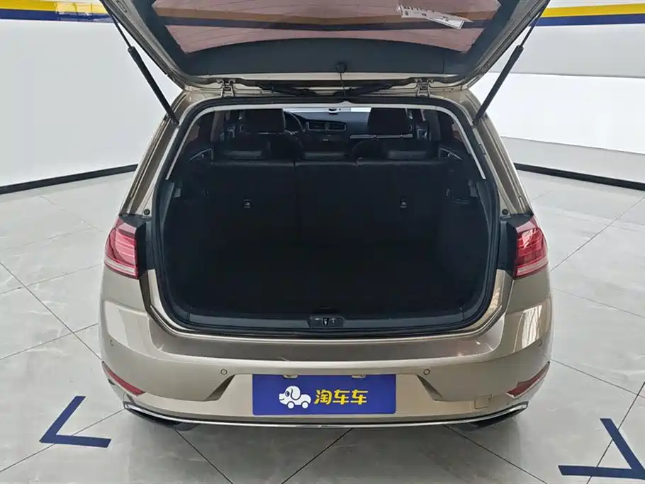 Volkswagen Golf 2019 1.6L Auto Comfort (China V) фото 4