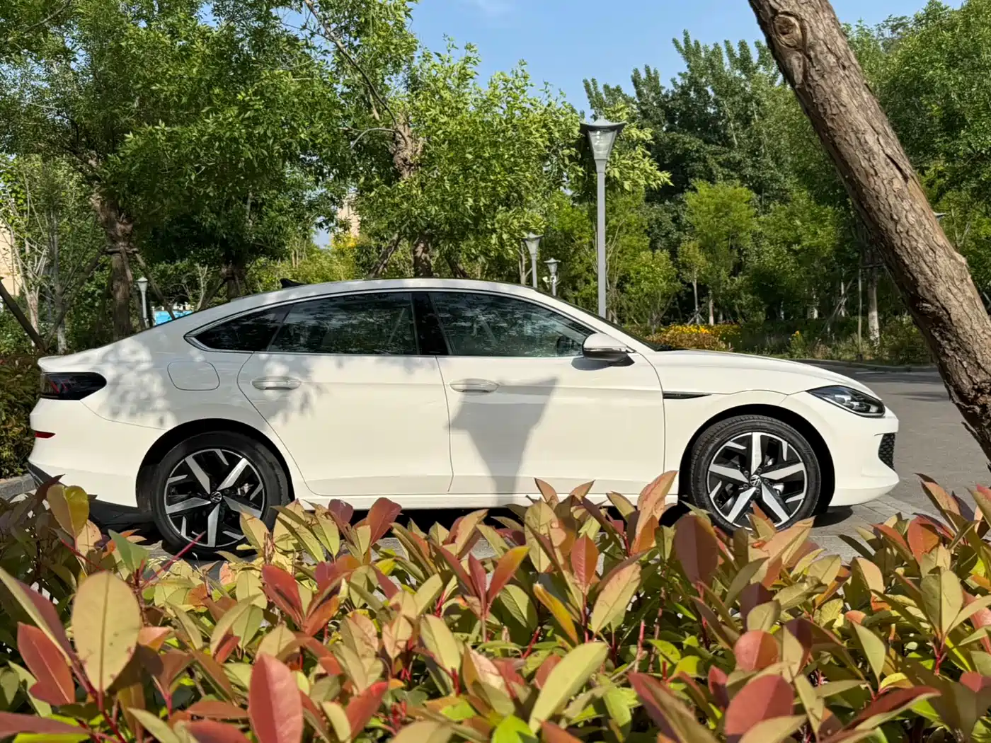 Volkswagen Lamando 2022 Lamando L 280TSI DSG Cool Edition фото 5