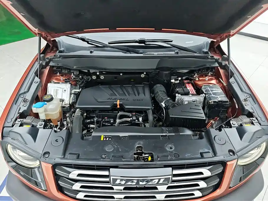 Haval Big Dog 2021 1.5T DCT 2WD Border Collie Edition фото 10