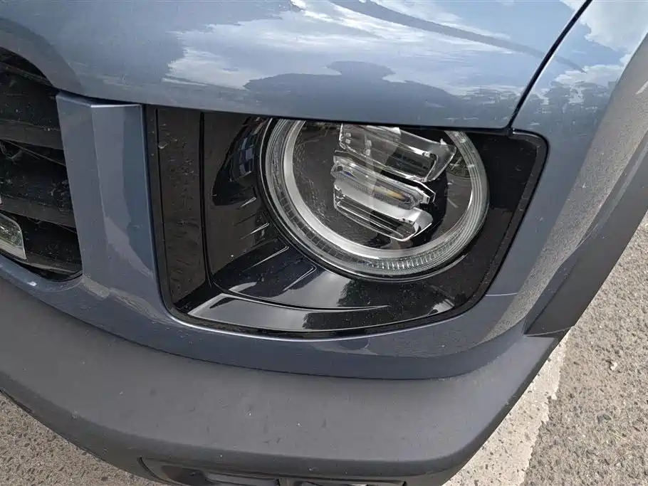 Haval Big Dog 2021 1.5T DCT 2WD Border Collie Edition фото 5