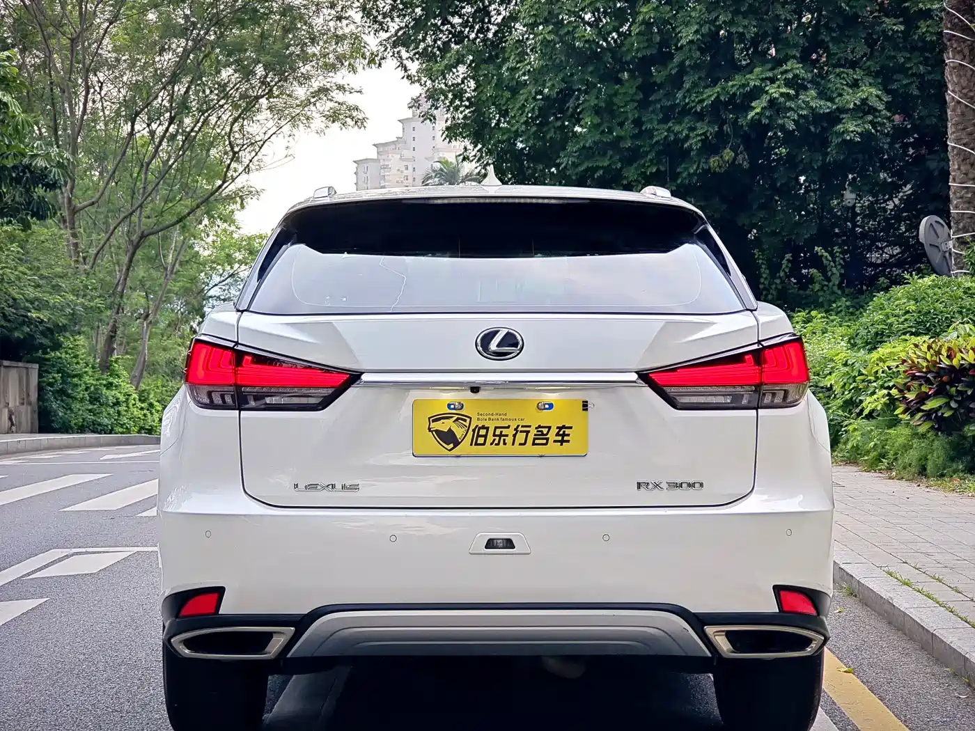 Lexus RX 2020 Facelift 300 2WD Elite Edition фото 25