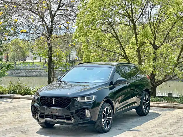 WEI PAI WEI BRAND VV5