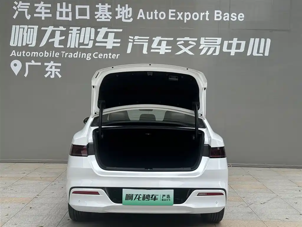 BYD Qin PLUS 2026 2024 Glory Edition EV 510KM Excellence
