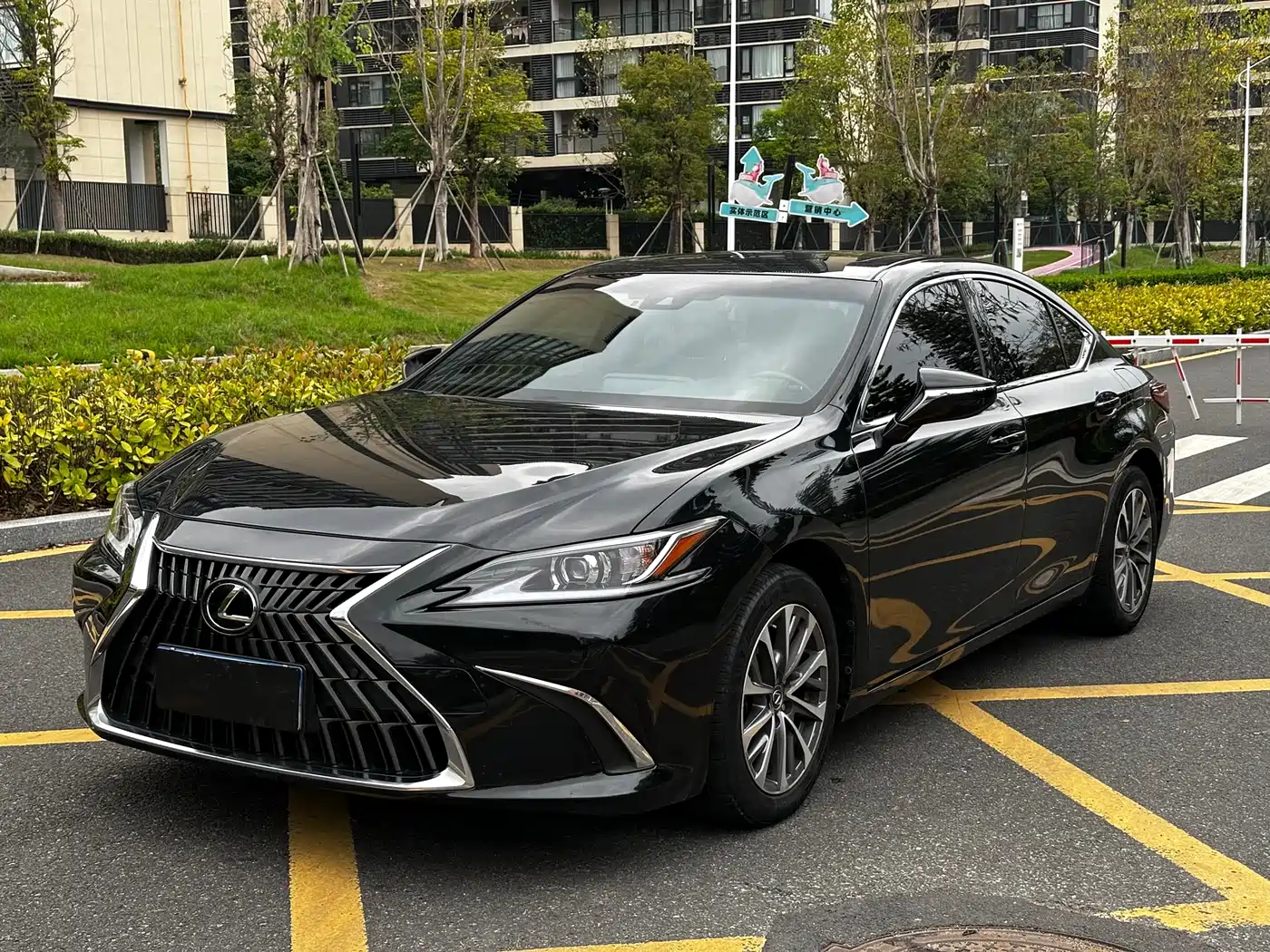 Lexus ES 2022 200 Excellence Edition