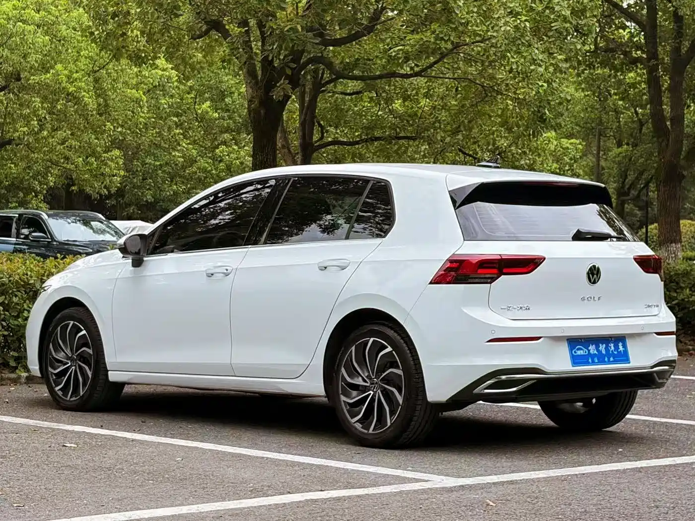 Volkswagen Golf 2025 2024 280TSI DSG Pro 50th Anniversary Edition