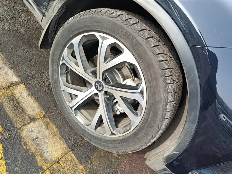 BYD Tang New Energy 2025 DM-i 115KM Flagship фото 6
