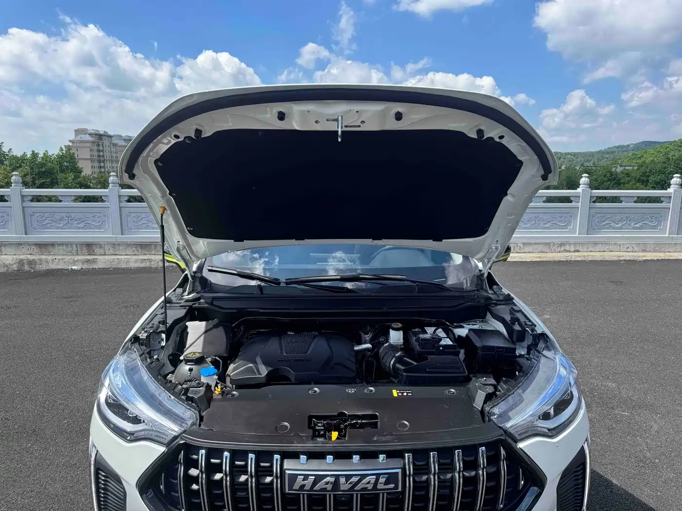 Haval Chitu 2022 2022 Power Edition 1.5T Purple Copper Rabbit