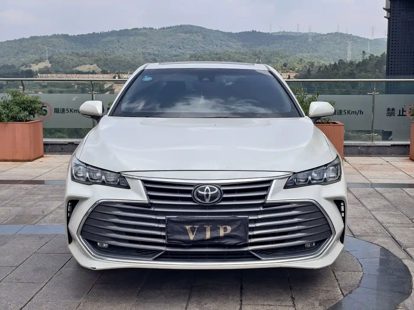 Toyota Avalon 2019 2019 2.5L Progressive Edition China V
