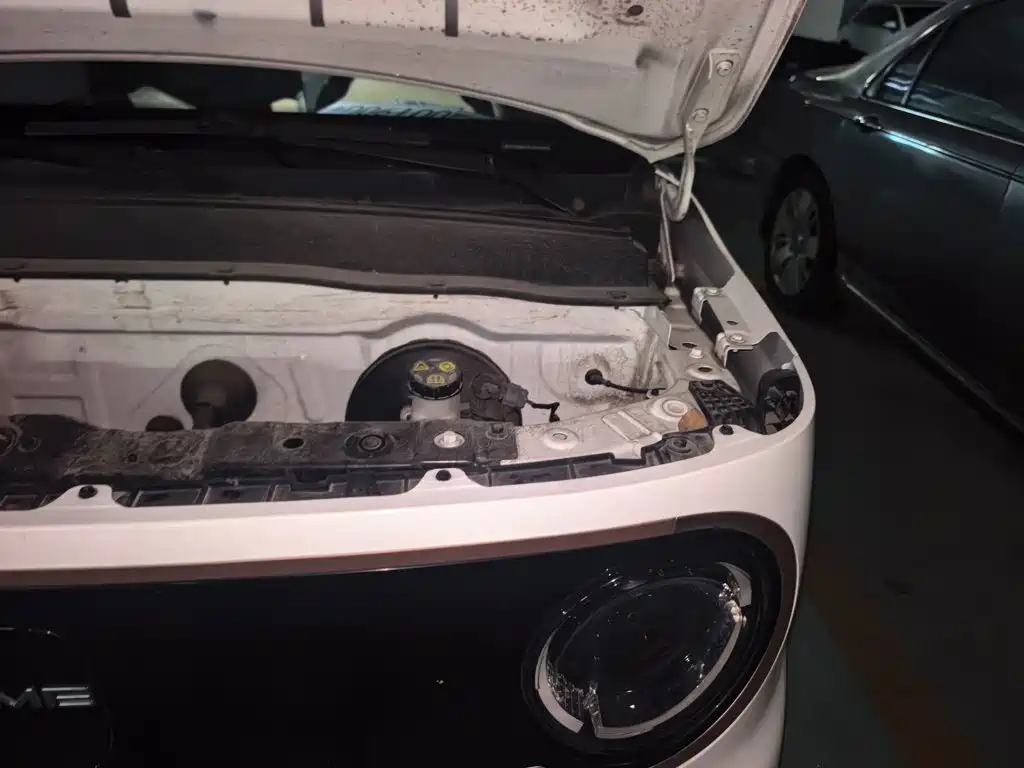 Geely Galaxy Panda 2023 2023 Panda Mini 200km Endurance Bear