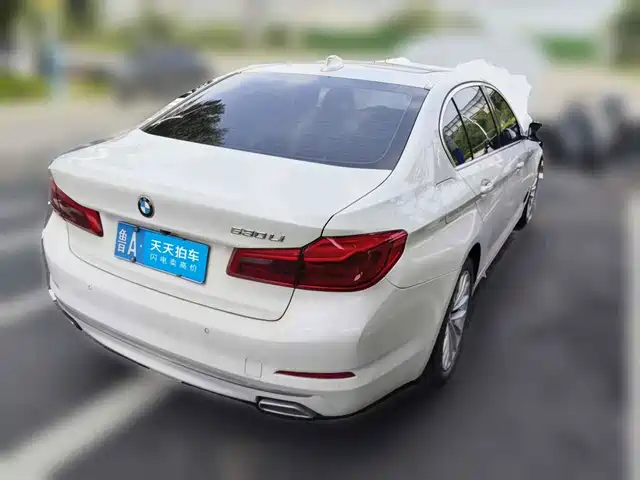 BMW 5 Series 2019 530Li Leading Luxury Package — фото 2