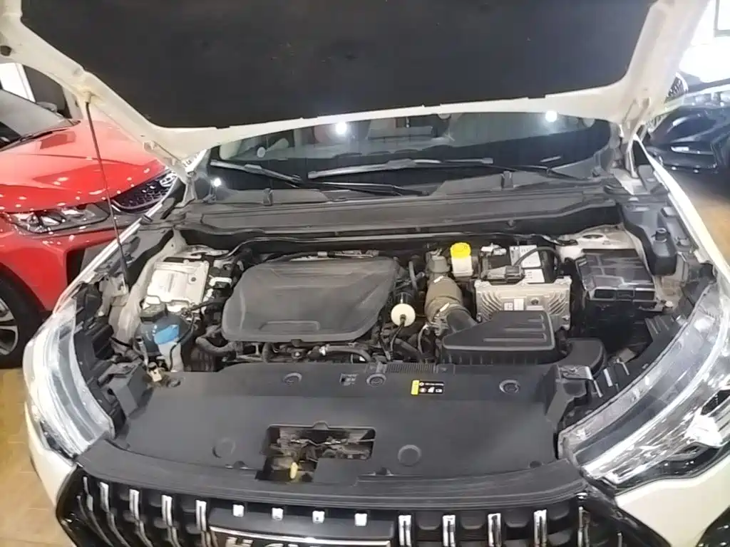 Haval Chitu 2023 2021 1.5T Silver Rabbit Turbo Edition