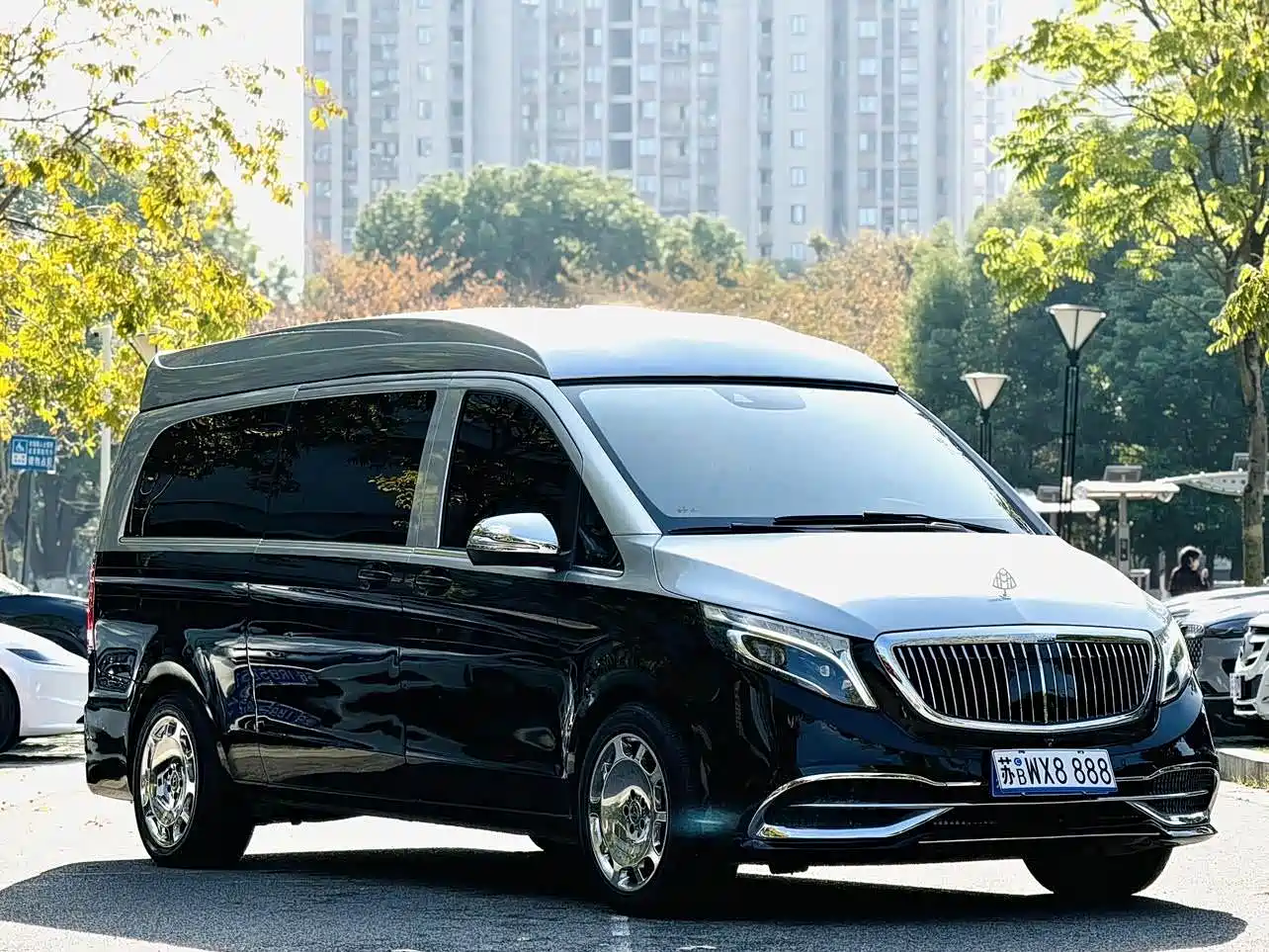 Mercedes-Benz V-Class 2018 V 260 L Premium Long Version China V фото 4