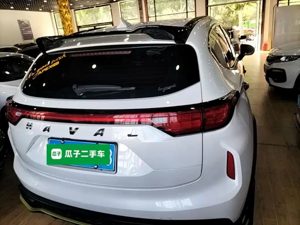 Haval Chitu 2023 2021 1.5T Silver Rabbit Turbo Edition