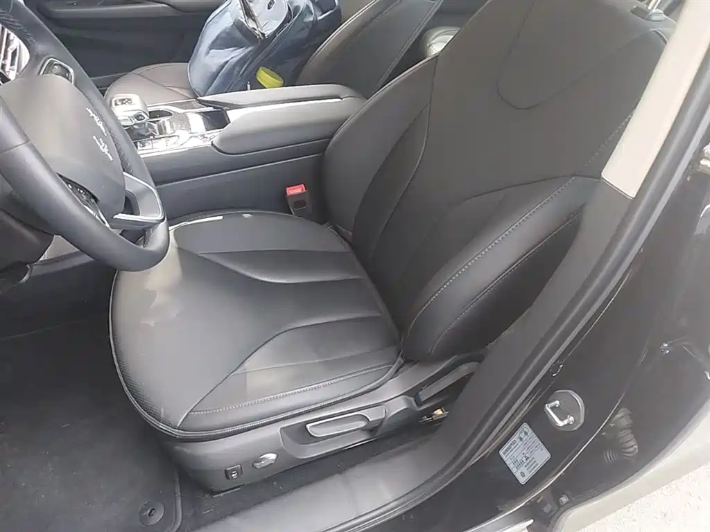 Hongqi E-QM5 2023 Facelift Basic Travel Edition фото 16