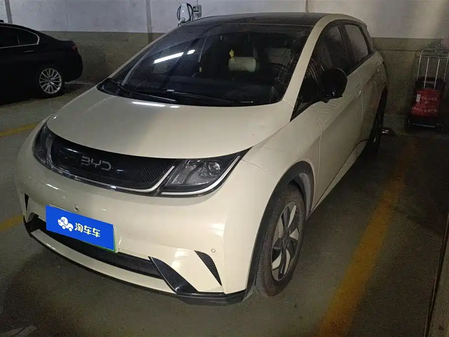 BYD Dolphin 2025 420km Fashion Edition
