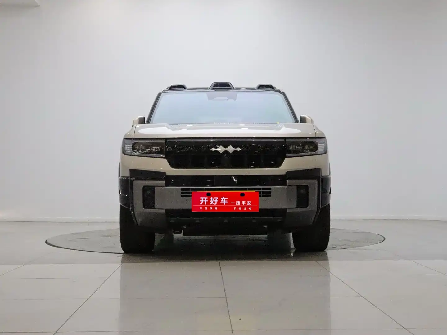 صورة 2 - Fang Cheng Bao Leopard 8