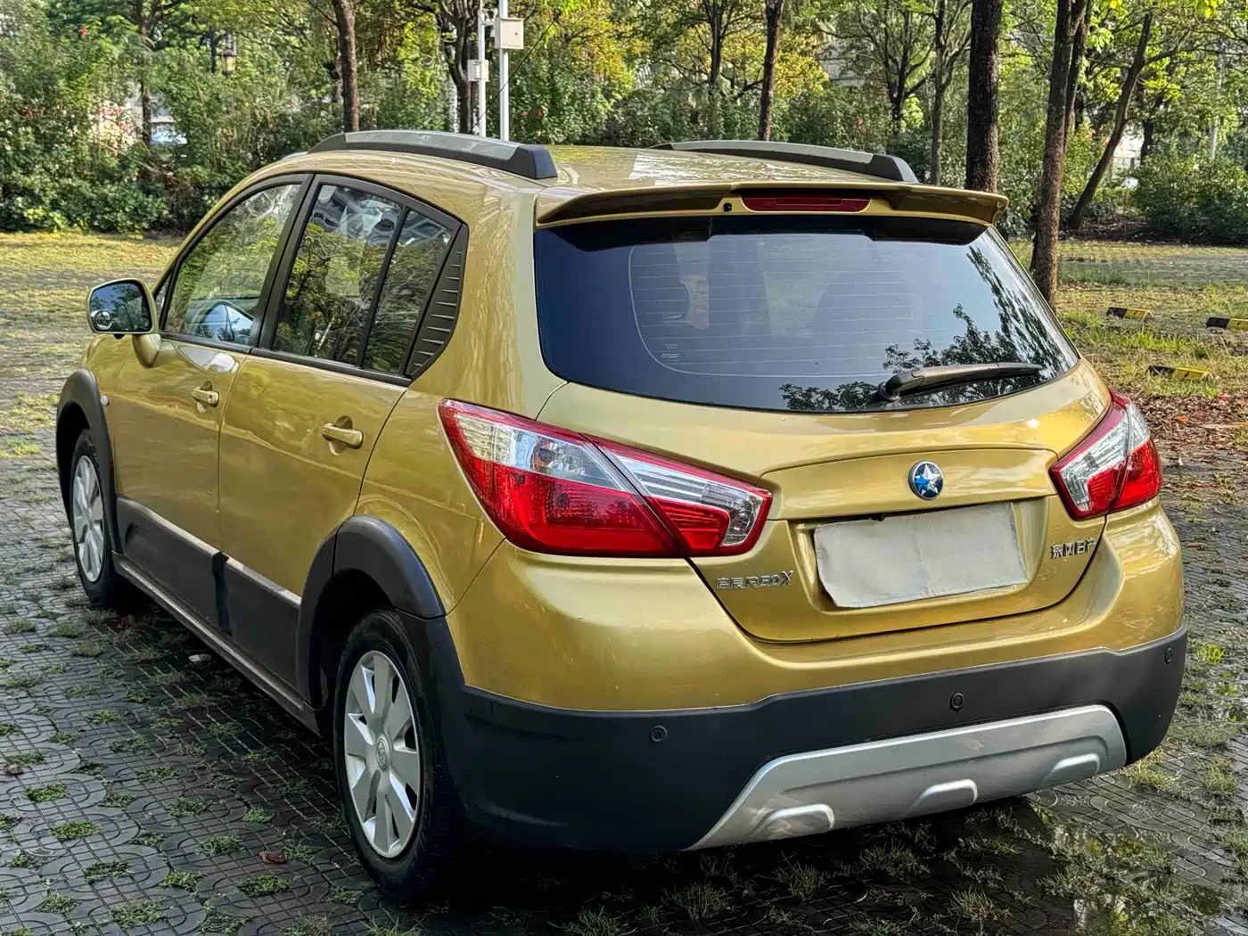 2014 Venucia R50X