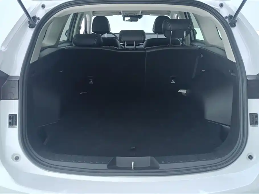 Haval H6 2024 Model 1.5T 2WD Classic Edition фото 4