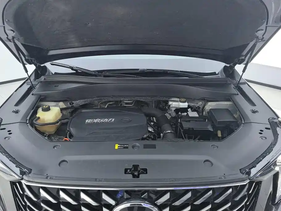 GAC Trumpchi Trumpchi GS8 2022 Pilot Series 2.0TGDI 4WD Luxury Smart Connect Edition (7-Seater) фото 10