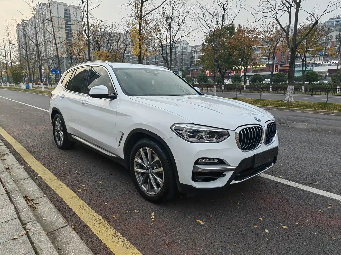 BMW X3 2018 xDrive25i Luxury Package China VI фото 3