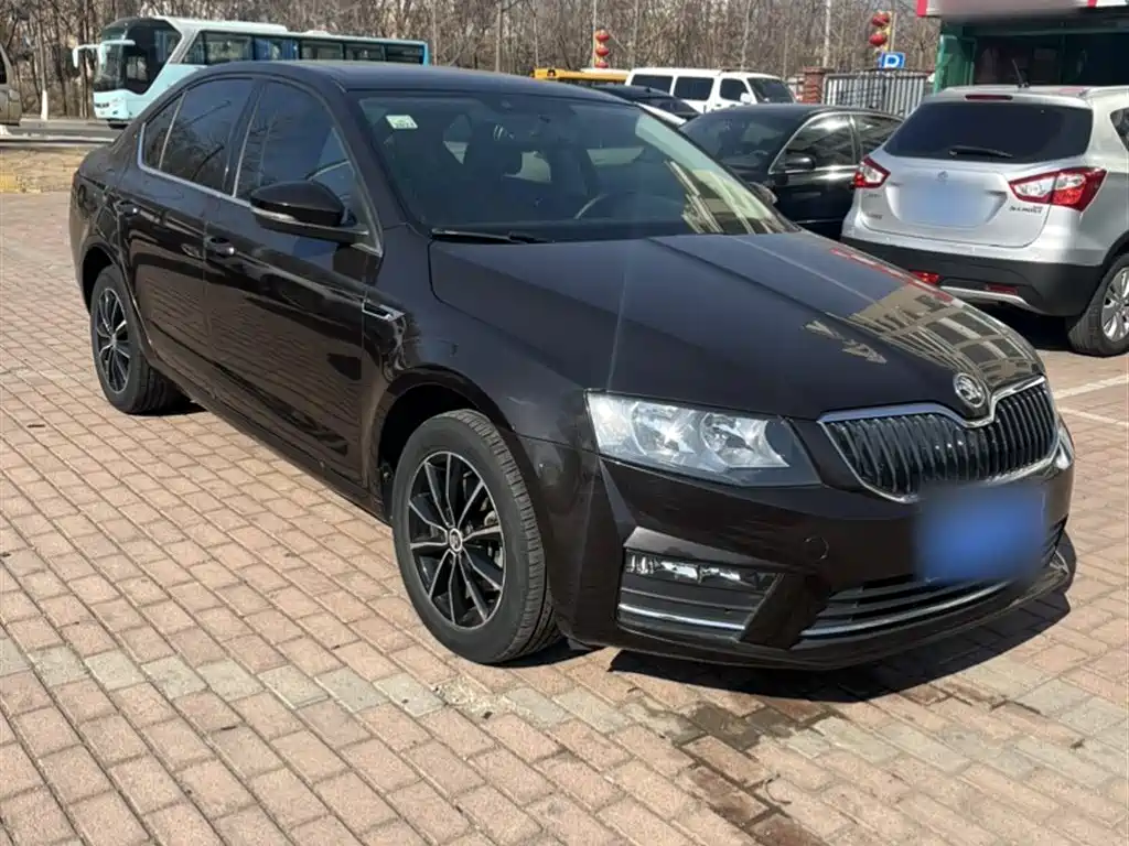 Škoda Octavia 2017 TSI280 DSG ZhiXing фото 5