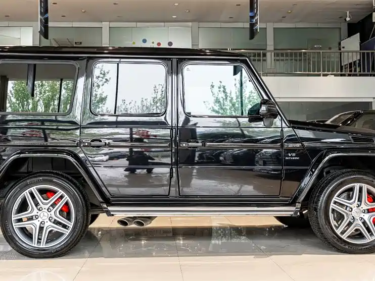 Mercedes-Benz G-Class 2017 G 500 фото 4