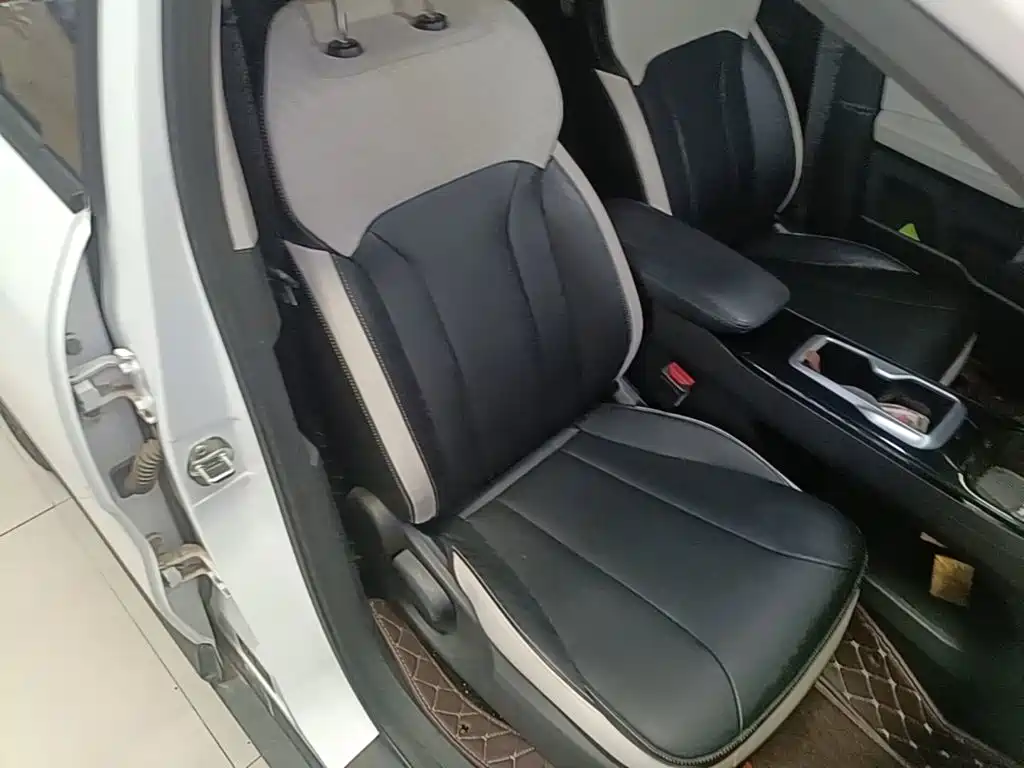 Geely Geometry E Firefly 2024 2024 401km Starlight