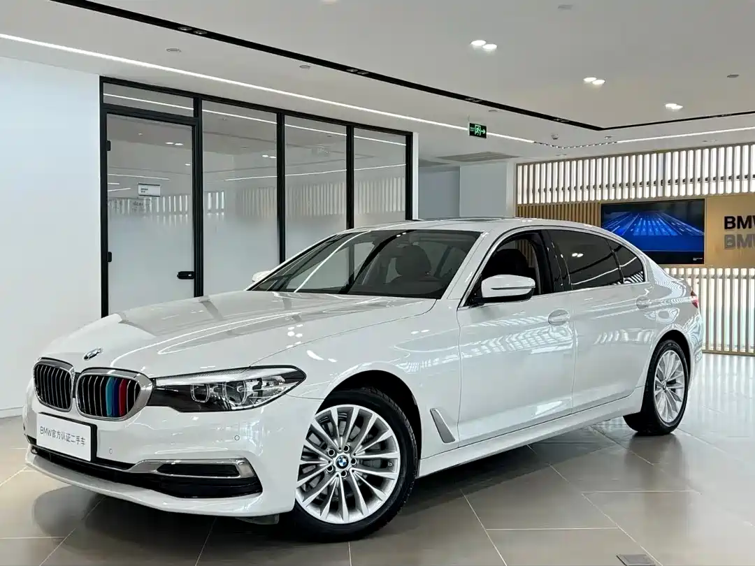 BMW 5 Series 2020 530Li Leading Luxury Package