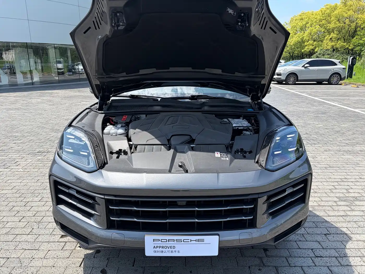 Porsche Cayenne 2026 2025 Cayenne 3.0T Dream Chaser Edition