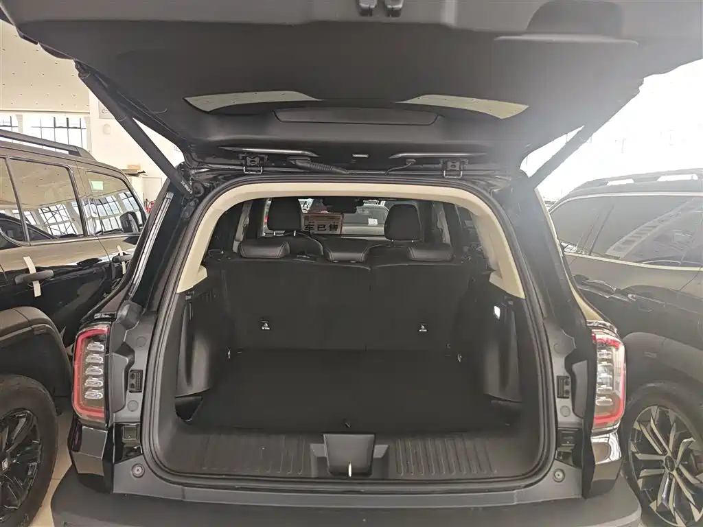 Haval Big Dog 2024 1.5T DCT Border Collie Edition фото 10