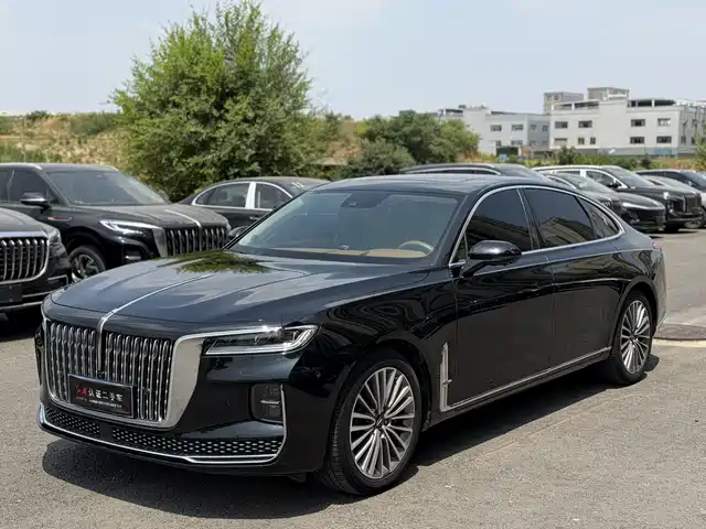 Hongqi H9 2020 2.0T Smart Connection Qi Chang Edition
