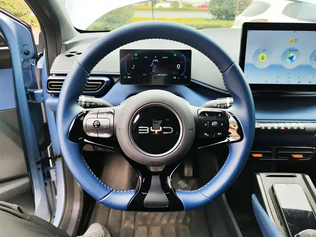 BYD Seagull 2024 Glory Edition 305km Freedom Edition фото 7