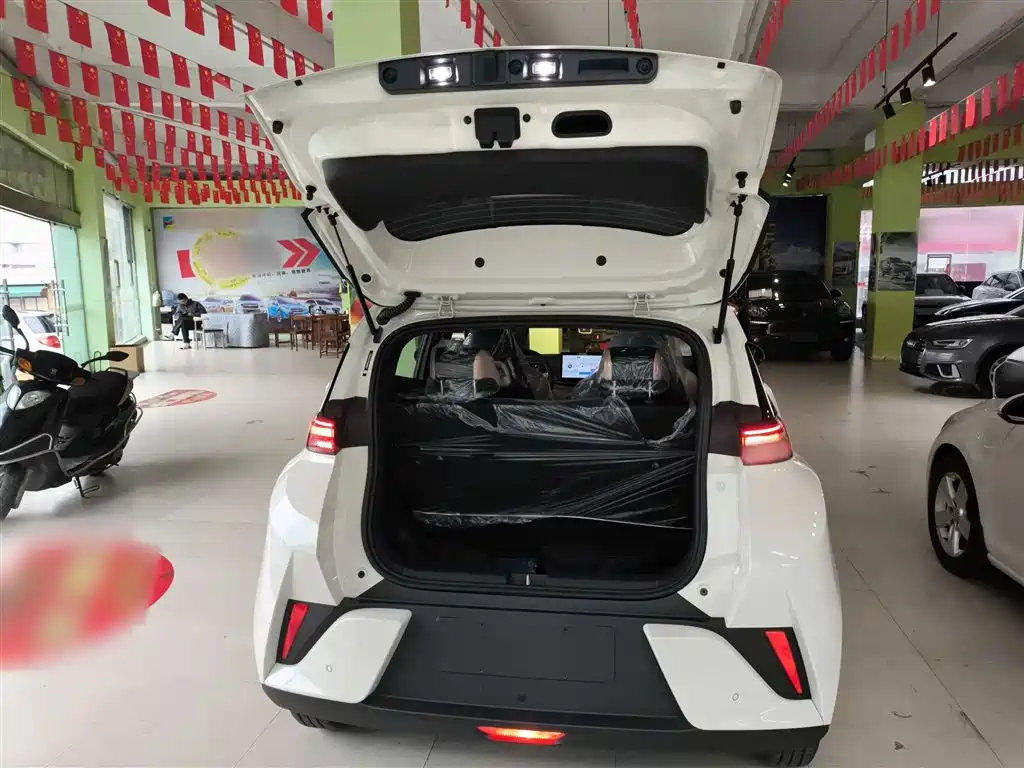 BYD Seagull 2025 Smart Drive Edition 305km Vitality Version фото 19