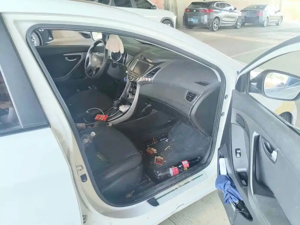Photo 10 - Hyundai Langdong