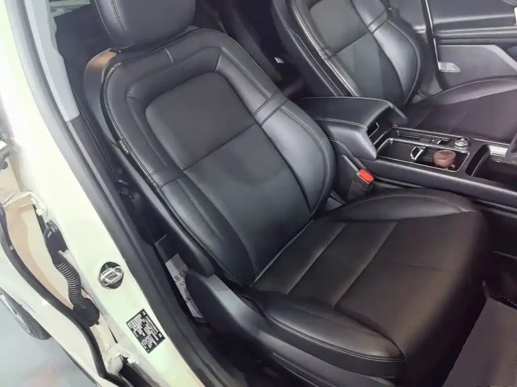 Lincoln Adventurer NEV 2022 2021 PHEV AWD e-Elegance Edition